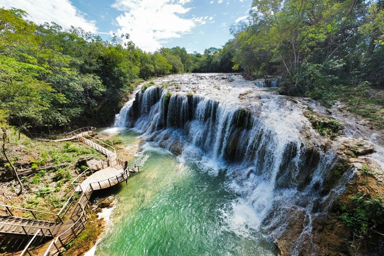 Passeios em Bonito e Pantanal Sul